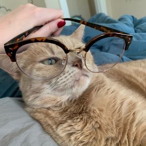 Meet your Posher, Madeline